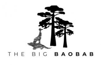 The Big Baobab
